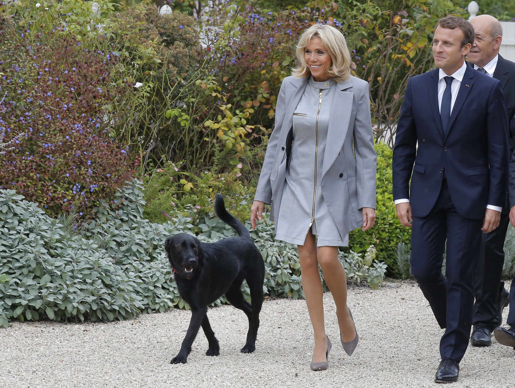 France Macron's Dog